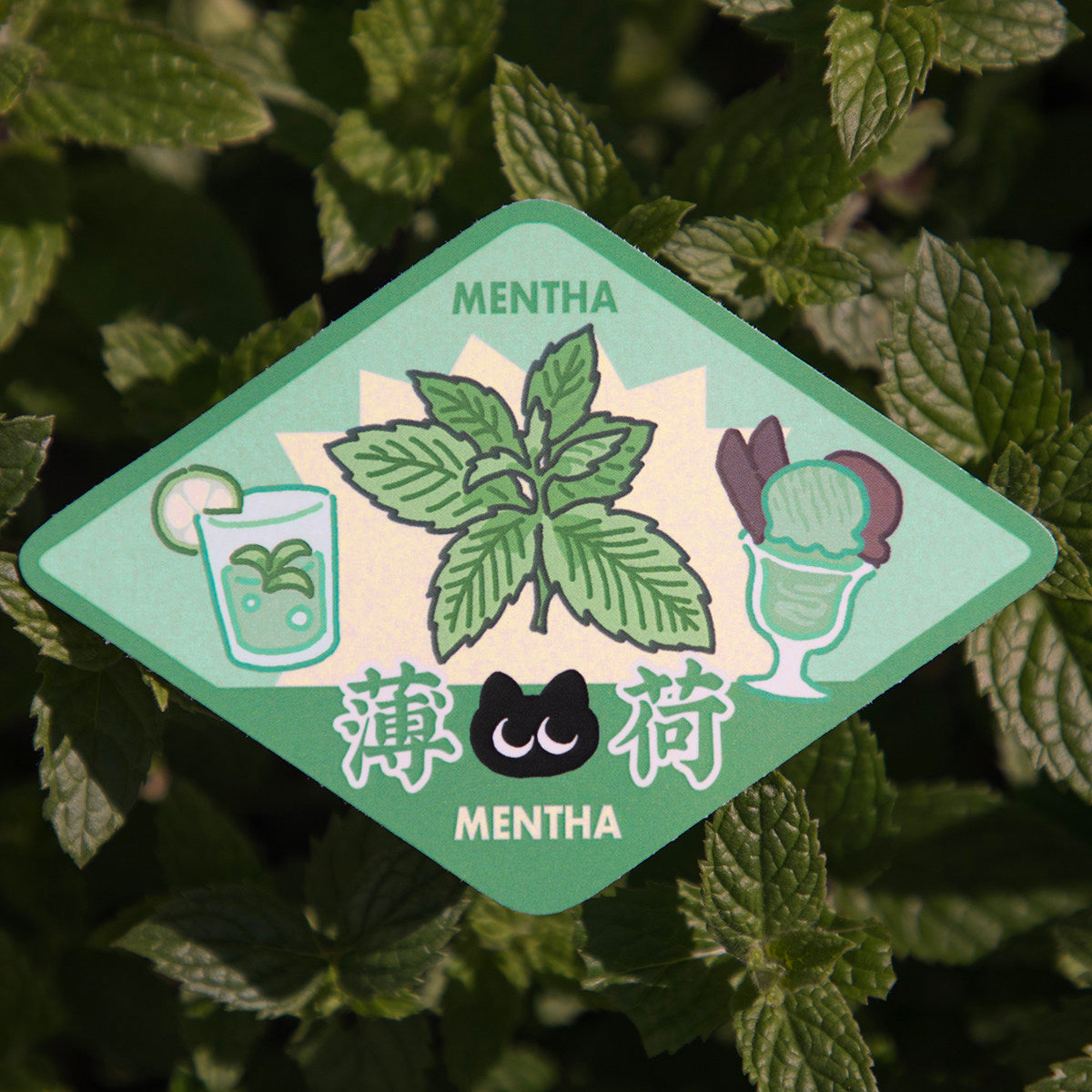 "Spice Cat" Vol. 2 Western Herb & Spice Series Waterproof Stickers - Mint