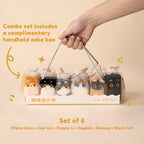Set of 6 cat-shaped products in a cake box with a hand holding the handle, on a beige background.