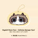 Ragdoll 