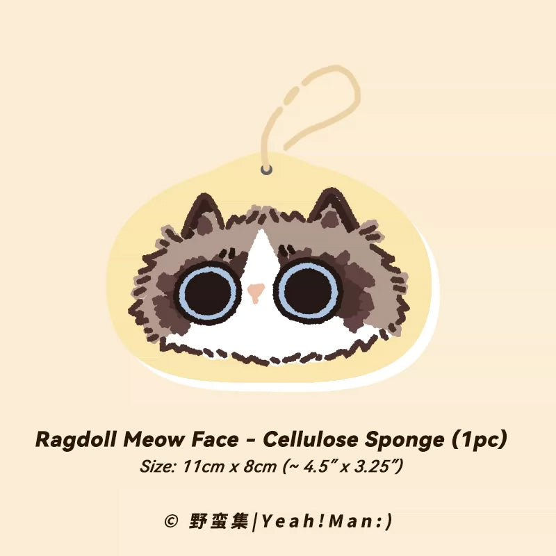 Ragdoll Meow Face cellulose sponge with a hook on a beige background